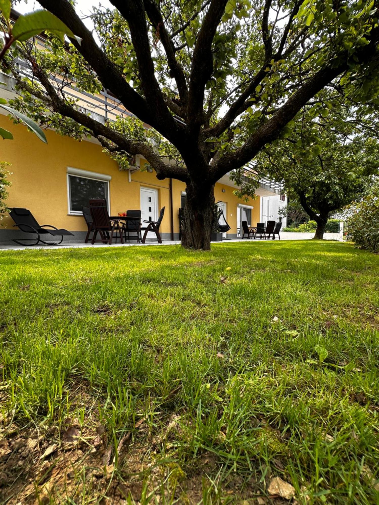 Riad Apartments Zgornje Skofije Εξωτερικό φωτογραφία
